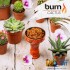 Заказать кальянный табак Burn Cactus (Берн Кактус) 100г онлайн с доставкой всей России фото - 2 Заказать кальянный табак Burn Cactus (Берн Кактус) 100г онлайн с доставкой всей России фото - 2